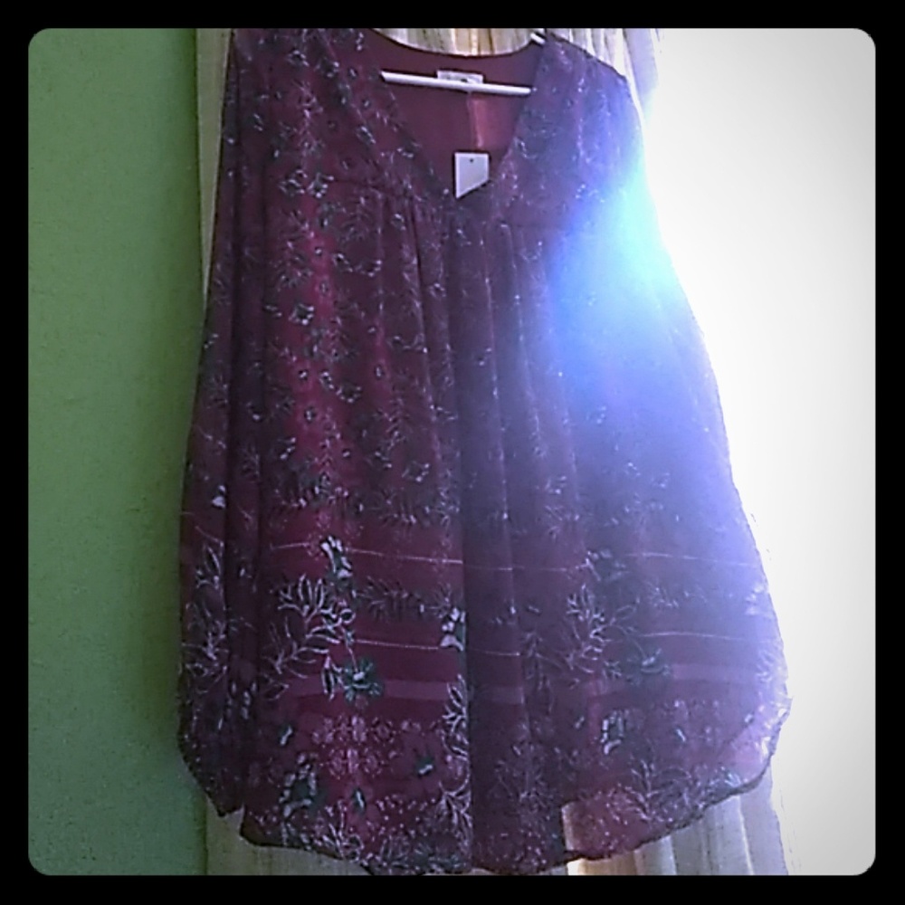 Marybelle sheer top